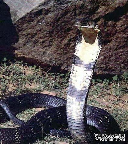 �̻���Ȼ���ö����ּ������۾�����