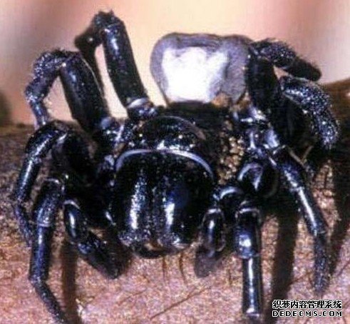 �̻���Ȼ���ö����ּ������۾�����