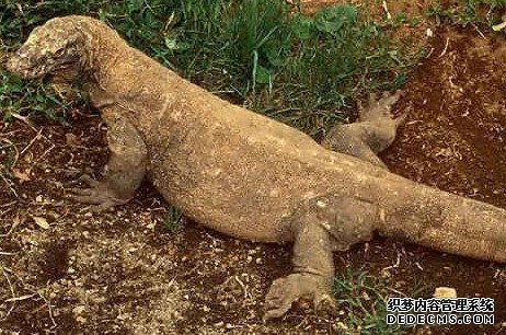 �̻���Ȼ���ö����ּ������۾�����