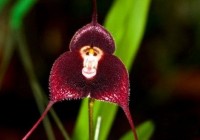 ����С���� һ���쳣���е�����Ʒ��