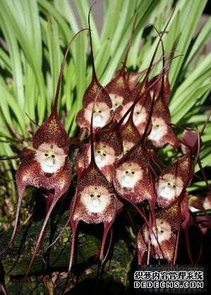 ����С���� һ���쳣���е�����Ʒ��