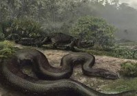 ���������Ķ��� ��ţ�������