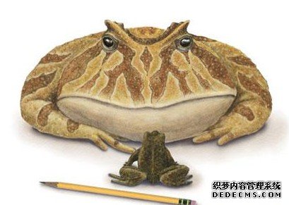 ���������Ķ��� ��ţ�������