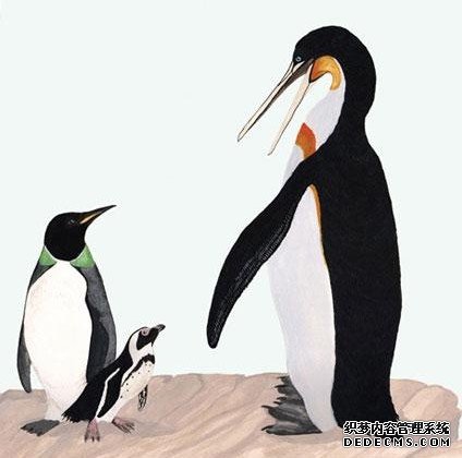 ���������Ķ��� ��ţ�������