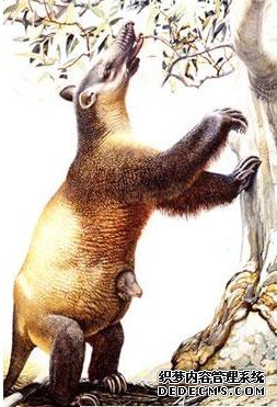 ���������Ķ��� ��ţ�������