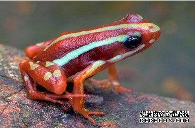 �����ܴ��̼������� ��Ȥ����Ȼ