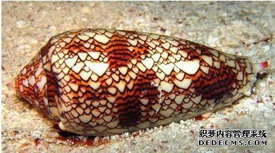 ��ȱ��Ǽ�����ɲʱ��ȥ�����