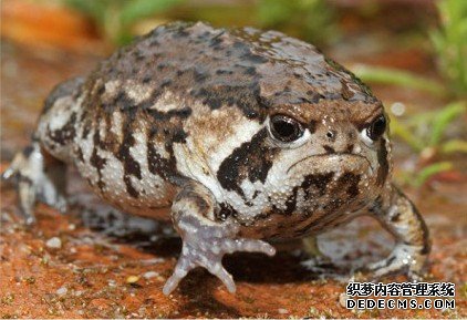 ˭�ܻ㱨�����������ʲô��ϡ������