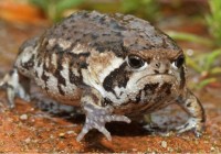 ˭�ܻ㱨�����������ʲô��ϡ������