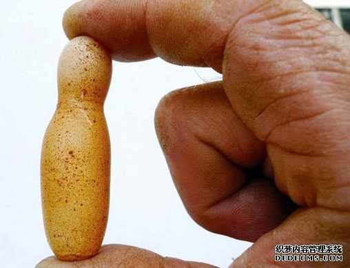 ɽ��ĸ�����¿��ơ�������Ķ��ؼ���