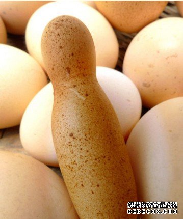 ɽ��ĸ�����¿��ơ�������Ķ��ؼ���