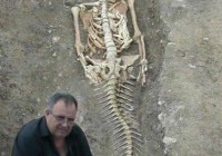 ����˼��ļ����㺡��