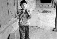 ���������С�� �����Ի��Ѽ