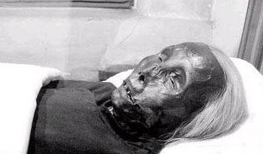 哈尔滨猫脸老太太吃人变乱惊悚可怕