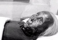 ������è����̫̫���˱��Ҿ�㤿���