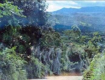 二战衰亡行进之路上的幽灵游街