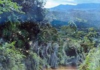 ��ս˥���н�֮·�ϵ������ν�