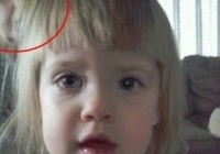 ���¹������Ƭ��Ӱ ��ѧ�޷�����