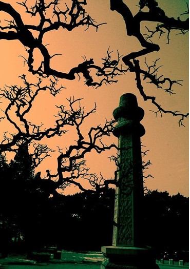 �й�ʮ��������� ��������������ң�����