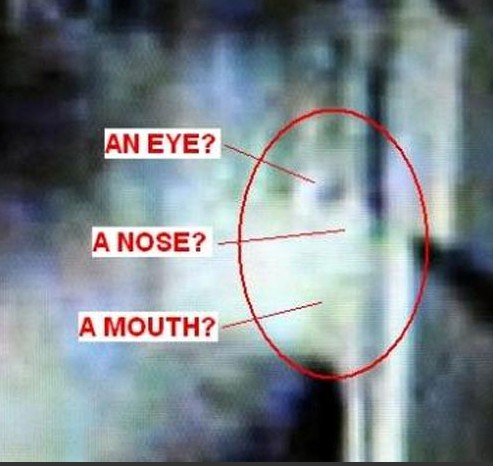 ����ʮ��������� ���ǹݸĸ�ľưɣ�