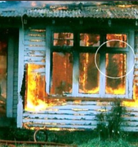 ��ʵ������� ����Ŀɺ���Ӱ��ͼ��