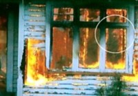 ��ʵ������� ����Ŀɺ���Ӱ��ͼ��