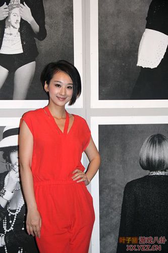 ÿ�����ϳº���������2013Ԥ�� �����õĸ�������С��˽������