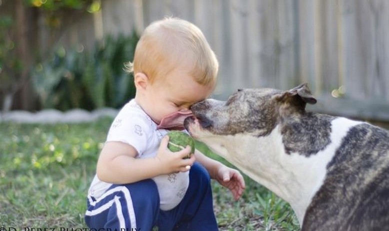 ������Ц������ ���������և�