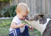 ������Ц������ ���������և�