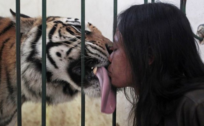 ������Ц������ ���������և�