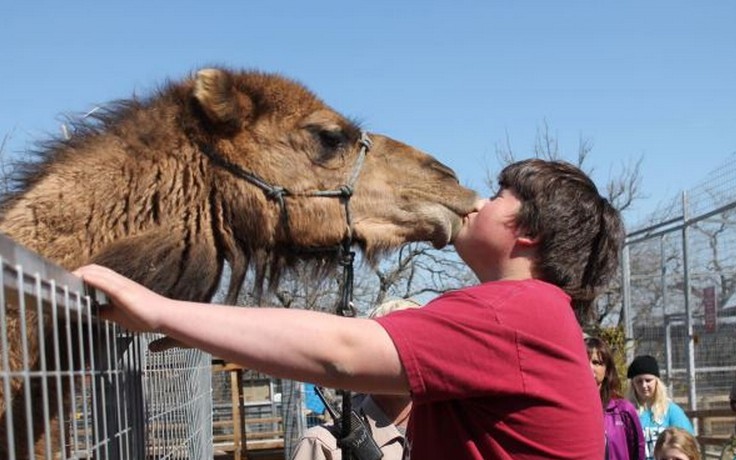 ������Ц������ ���������և�