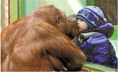 ������Ц������ ���������և�