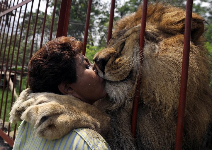 ������Ц������ ���������և�