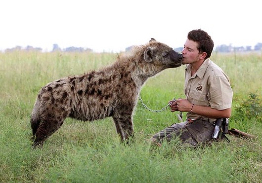 ������Ц������ ���������և�