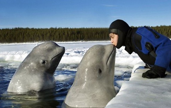 ������Ц������ ���������և�