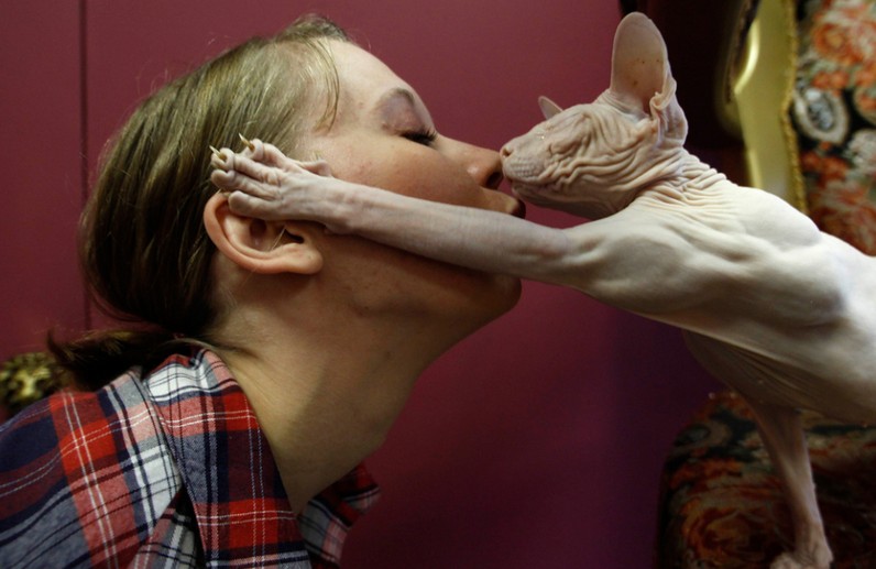 ������Ц������ ���������և�