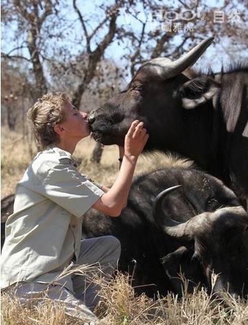 ������Ц������ ���������և�