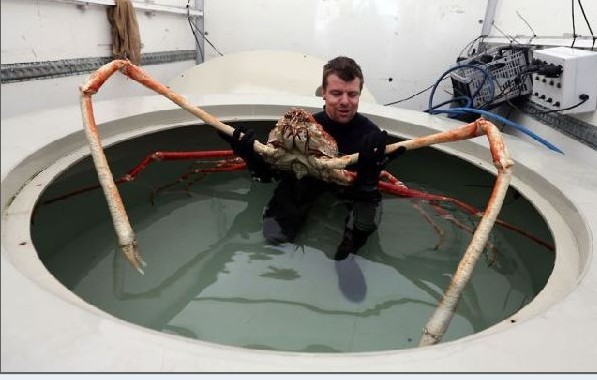 ��ЦͼƬ����������Ц�ć�ͼ