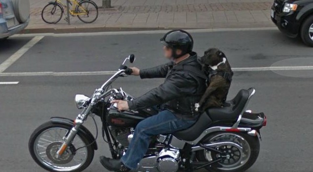 ��ЦͼƬ����������Ц�ć�ͼ