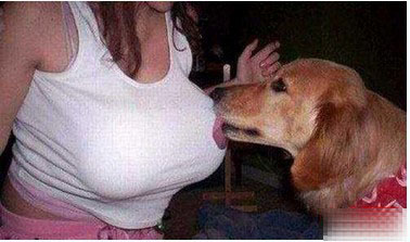 ��Ȥ��ɫ���� ��ɫ��С����