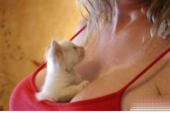 ��Ȥ��ɫ���� ��ɫ��С����