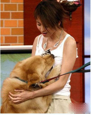 ��Ȥ��ɫ���� ��ɫ��С����