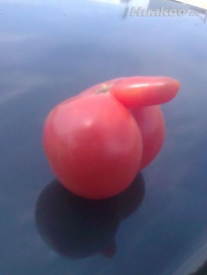 �޸�Ц�������2��������������