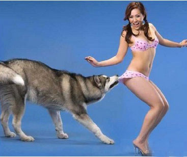 ��Ȥ��ɫ���� ��ɫ��С����