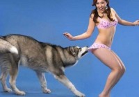 ��Ȥ��ɫ���� ��ɫ��С����