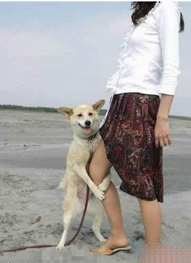 ��Ȥ��ɫ���� ��ɫ��С����