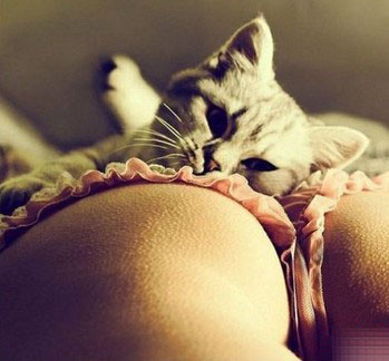 ��Ȥ��ɫ���� ��ɫ��С����