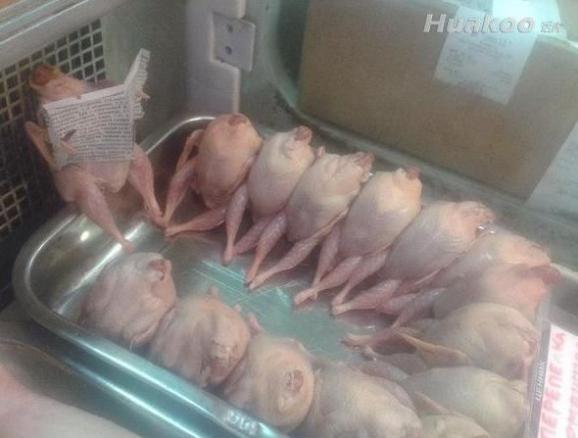 ��ЦͼƬ��Цһ���� ��ЦͼƬЦ���ˣ�Ȥͼ��