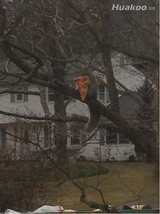 ��Ц ��Ц�����ЦͼƬ������