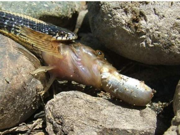 ��Ц ��Ц�����ЦͼƬ������